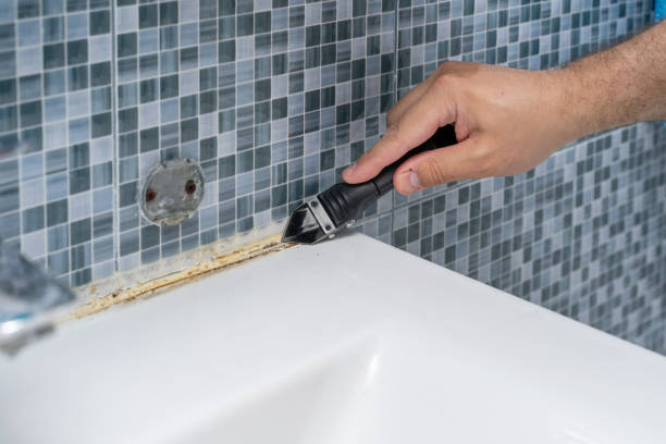 Reliable Bridgewater, VA Mold Removal Solutions